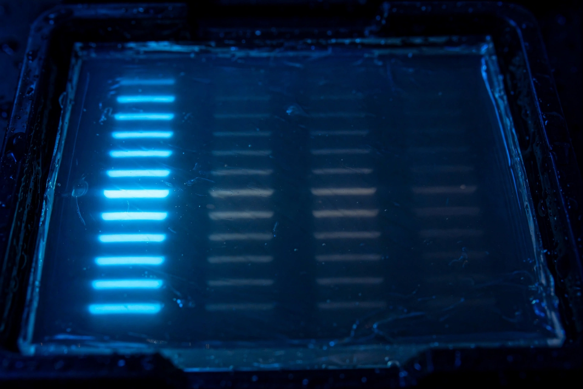 Agarose gel under UV light with a bright DNA ladder in the first lane and noticeably faint, dim bands in the sample lanes