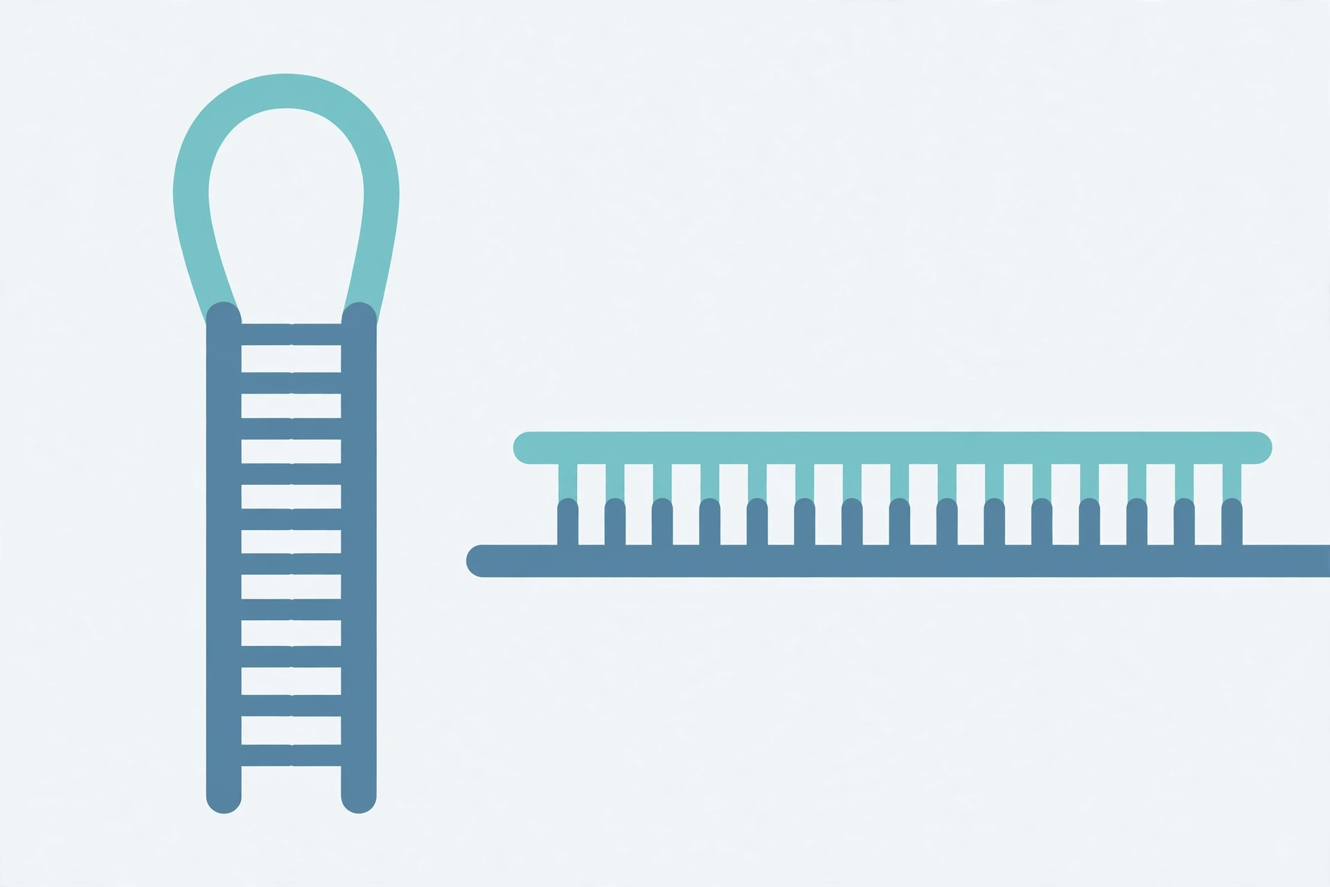 Diagram of a PCR primer folding into a hairpin stem-loop structure versus binding correctly to template DNA